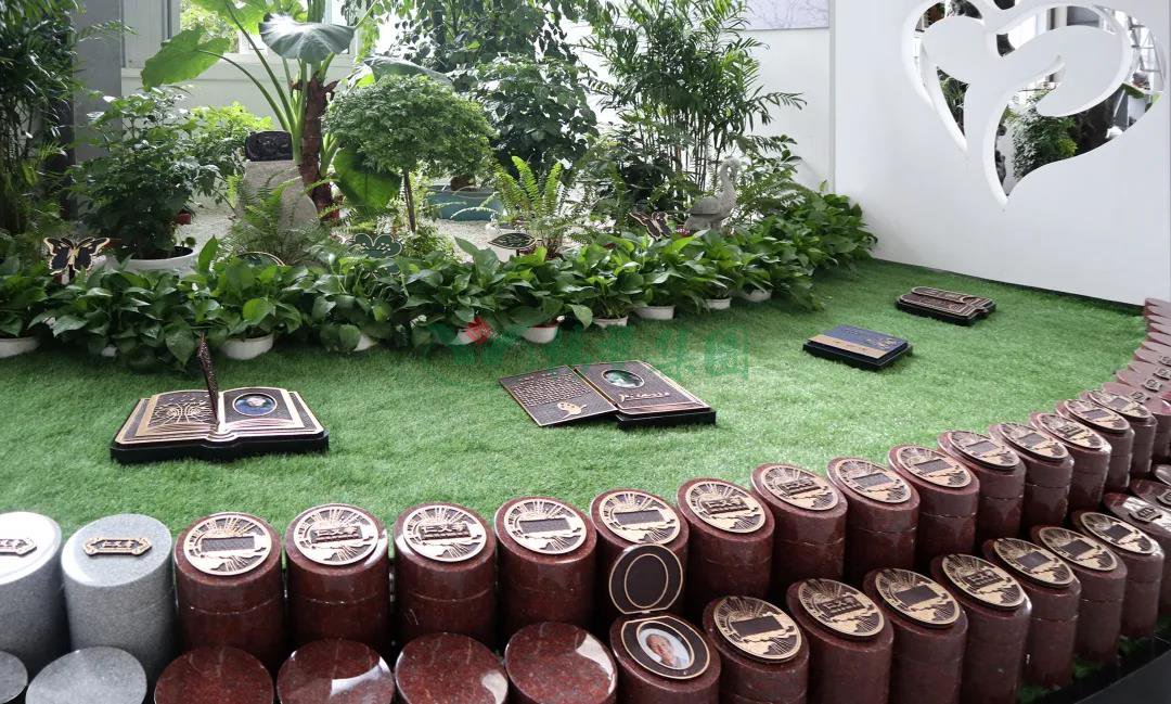 首页-人生就是博