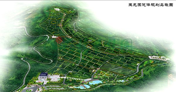 首页-人生就是博