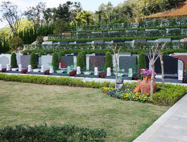 首页-人生就是博