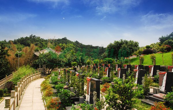 首页-人生就是博