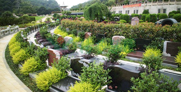 首页-人生就是博