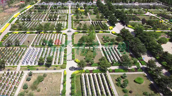 首页-人生就是博