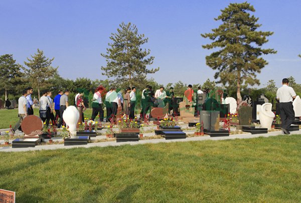 首页-人生就是博