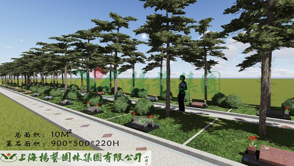 首页-人生就是博