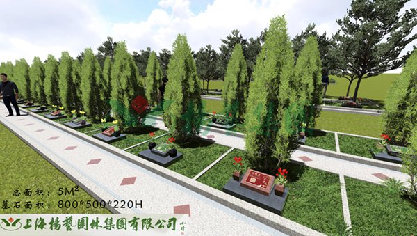 首页-人生就是博