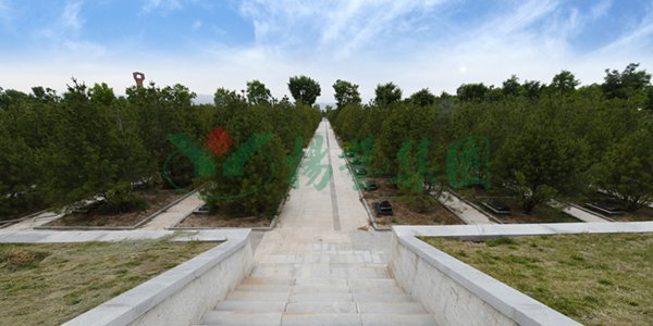 首页-人生就是博