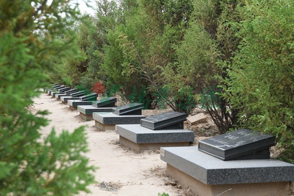 首页-人生就是博