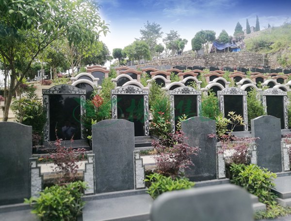 首页-人生就是博