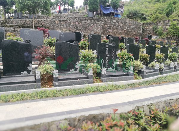 首页-人生就是博