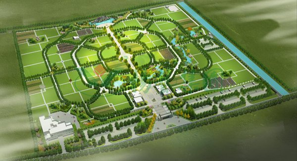 首页-人生就是博