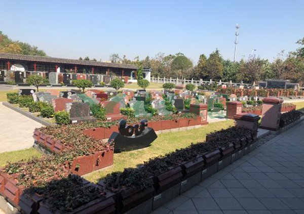 首页-人生就是博