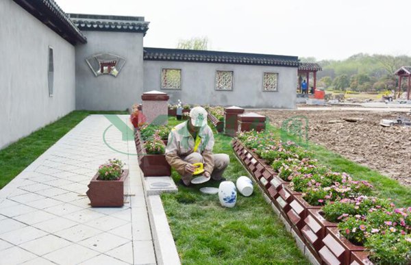 首页-人生就是博