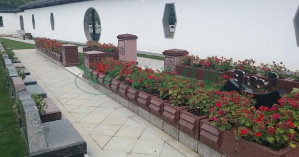 首页-人生就是博