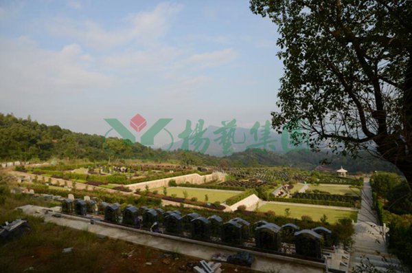 首页-人生就是博