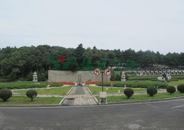 首页-人生就是博