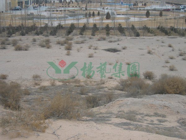 首页-人生就是博