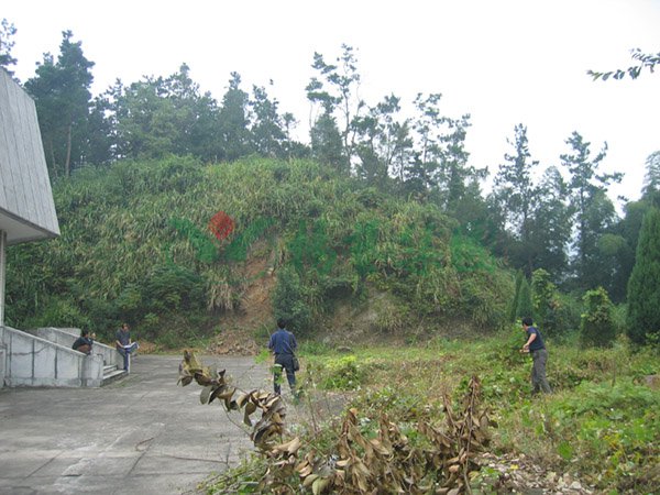 首页-人生就是博