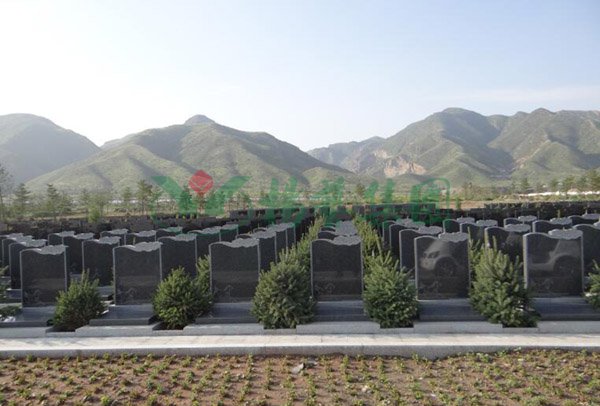 首页-人生就是博