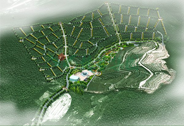 首页-人生就是博