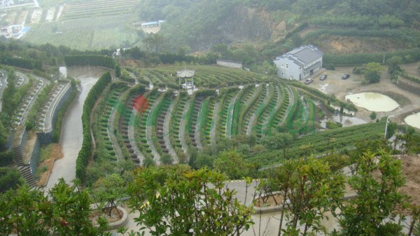 首页-人生就是博