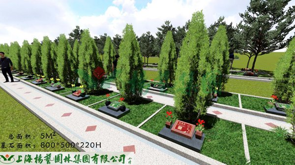 首页-人生就是博