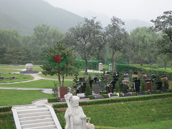 首页-人生就是博