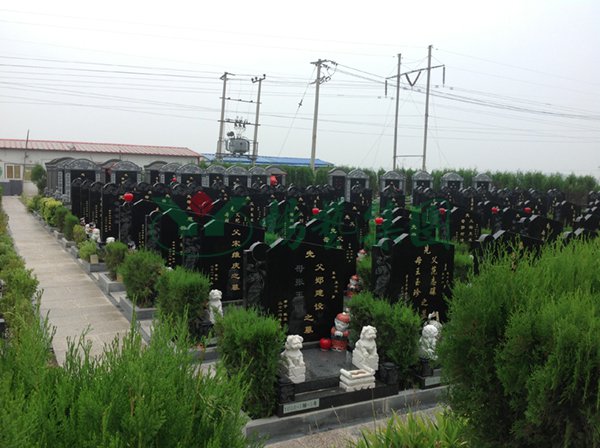 首页-人生就是博