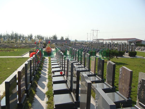 首页-人生就是博