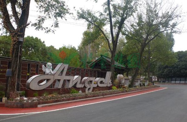 首页-人生就是博