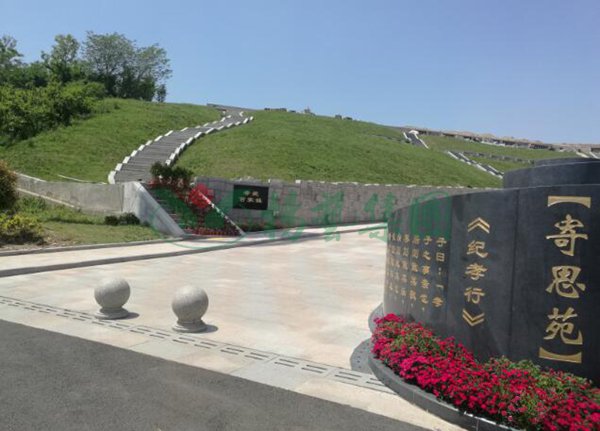 首页-人生就是博