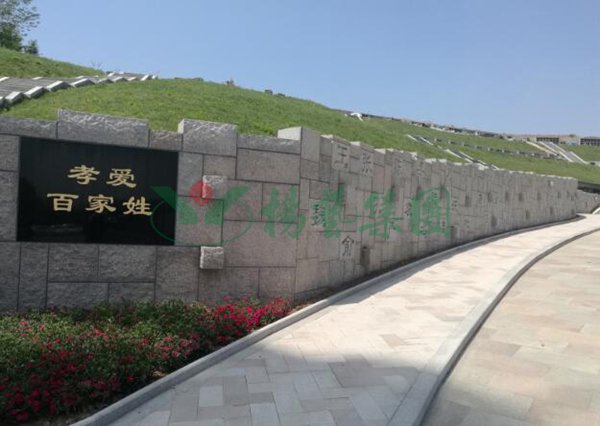 首页-人生就是博