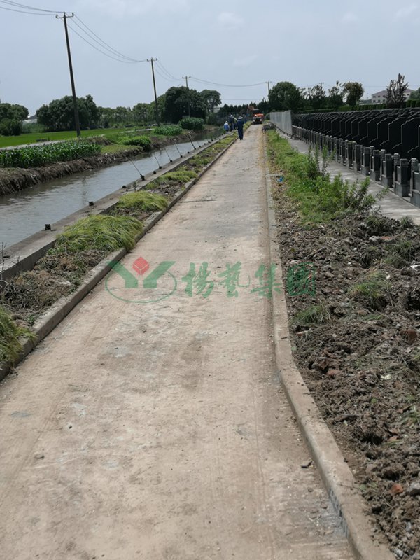 首页-人生就是博