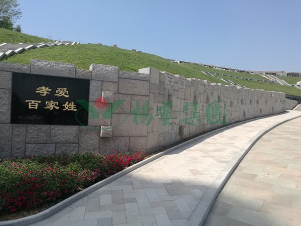 首页-人生就是博