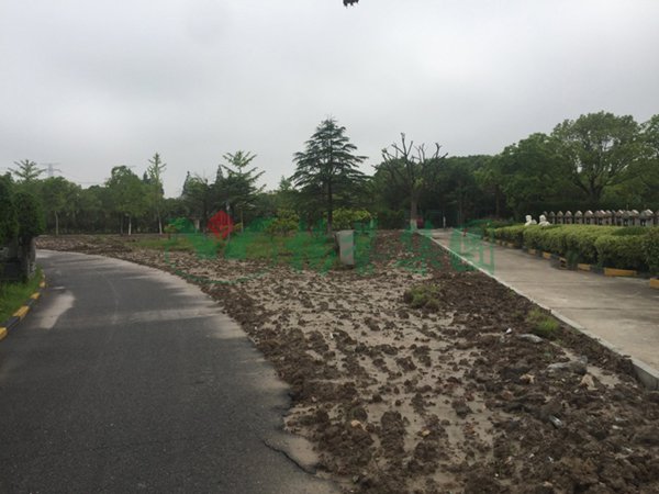 首页-人生就是博