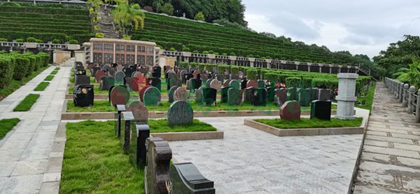 首页-人生就是博