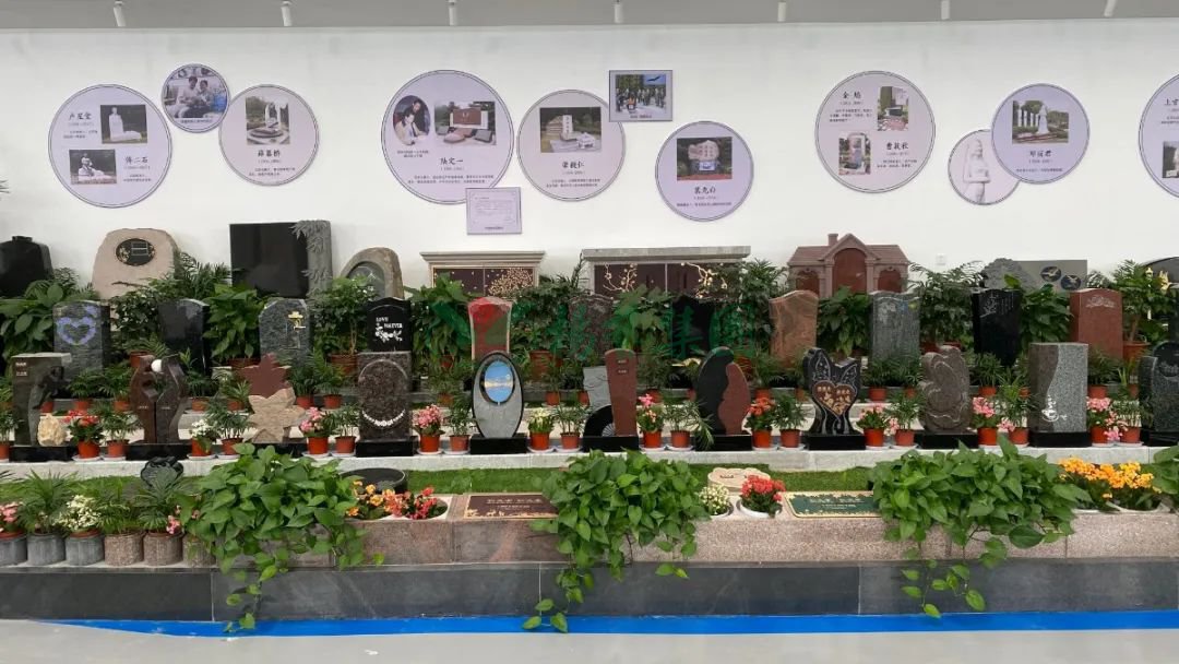 首页-人生就是博