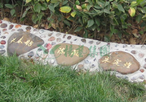 首页-人生就是博