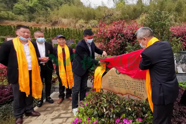 首页-人生就是博