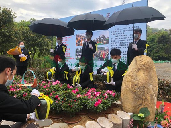 首页-人生就是博