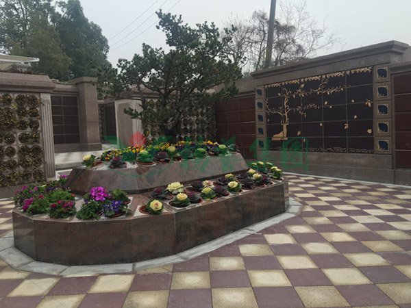 首页-人生就是博