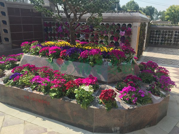 首页-人生就是博