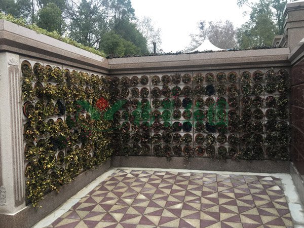 首页-人生就是博