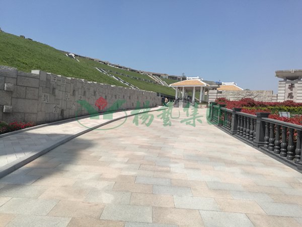 首页-人生就是博