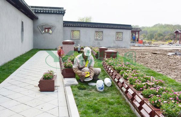 首页-人生就是博