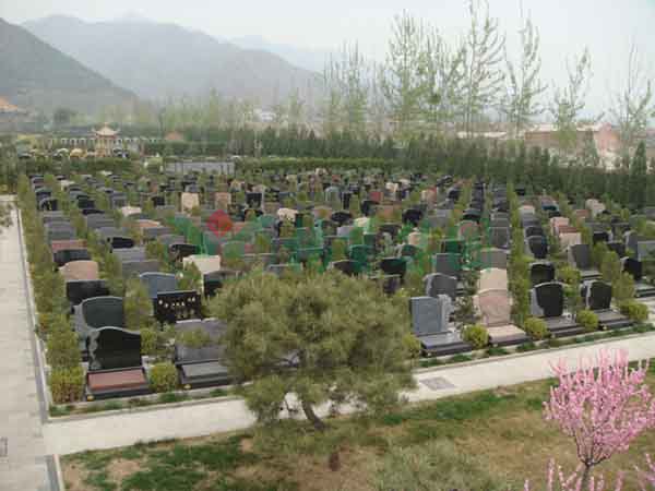 首页-人生就是博