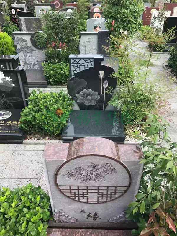 首页-人生就是博