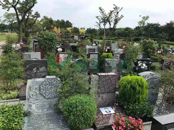 首页-人生就是博