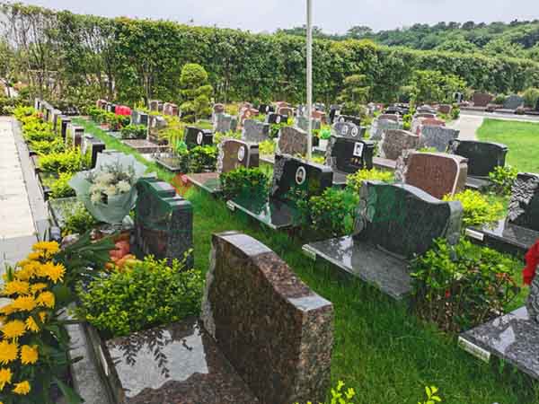 首页-人生就是博