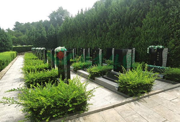 首页-人生就是博