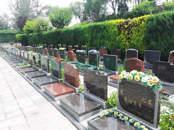 首页-人生就是博